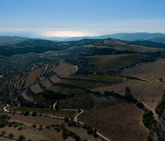 DJI_20251031145209_0169_D