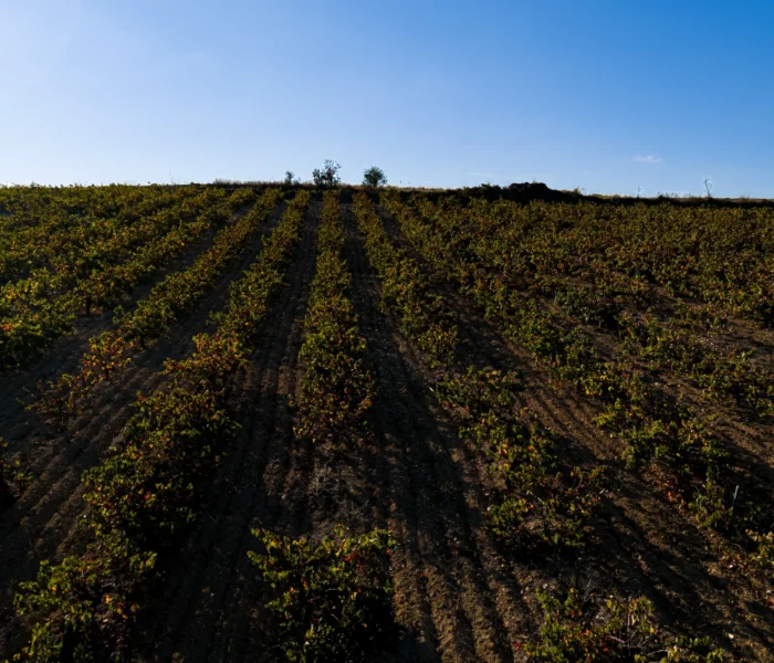 DJI_20251031150115_0189_D