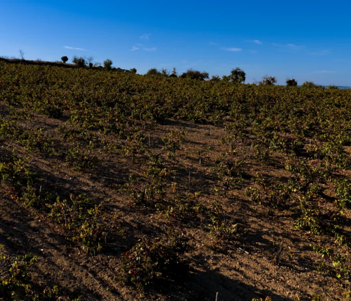 DJI_20251031150124_0192_D