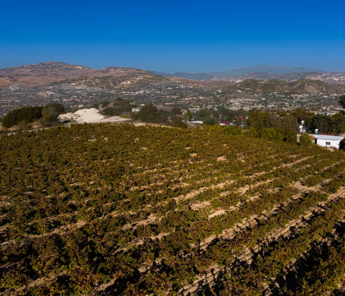 DJI_20251031150319_0195_D