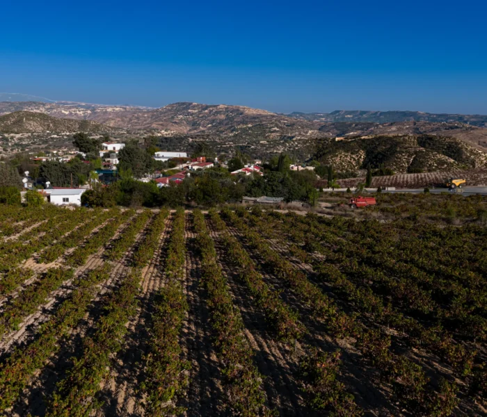 DJI_20251031150325_0197_D