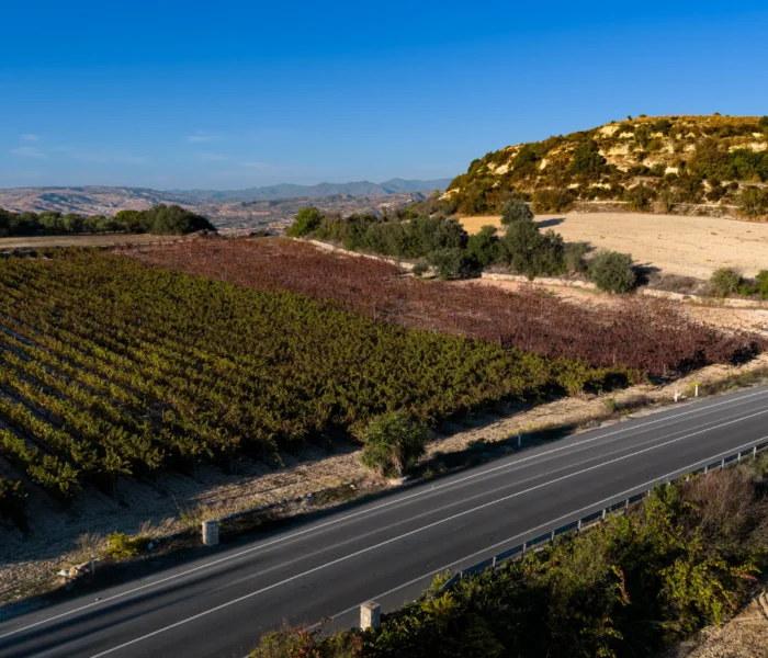 DJI_20251031154155_0263_D