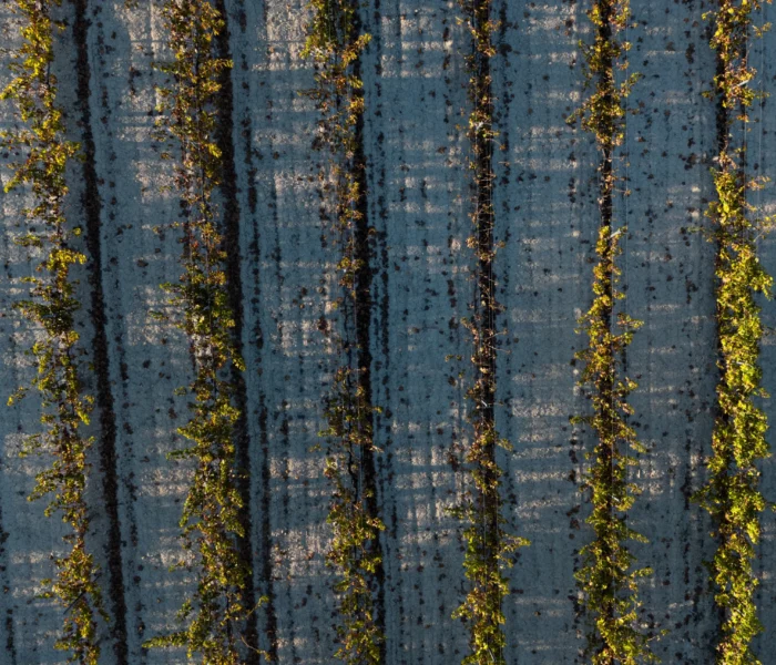 DJI_20251031154504_0281_D